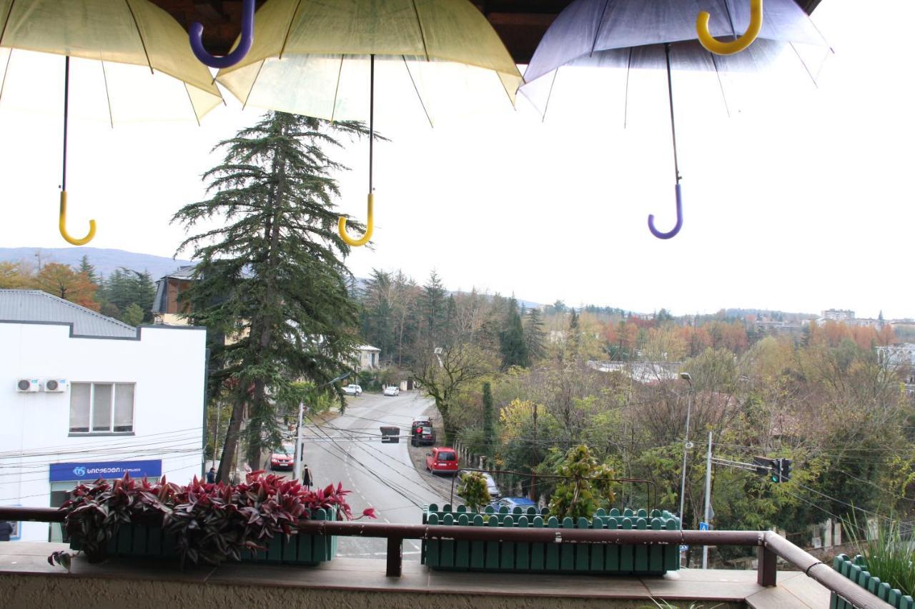 Tskaltubo Hotel Terrace Екстер'єр фото